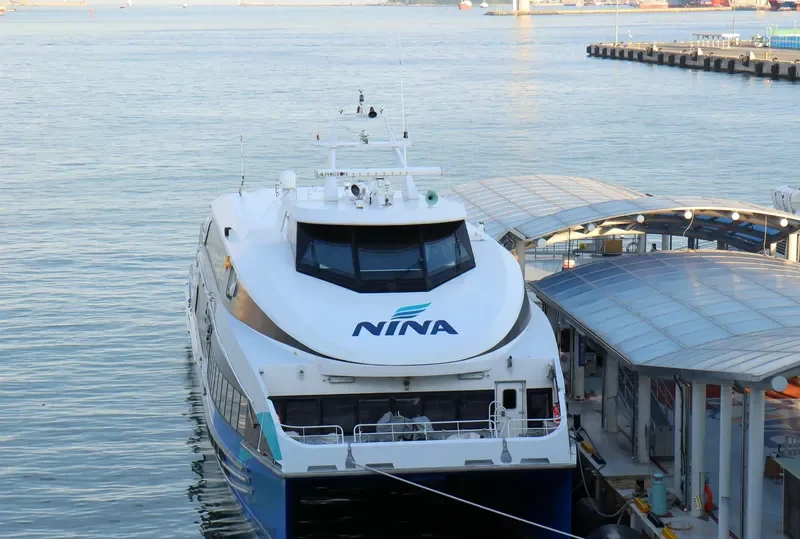 NINA Passenger Ship IMO 9694892 photo 3