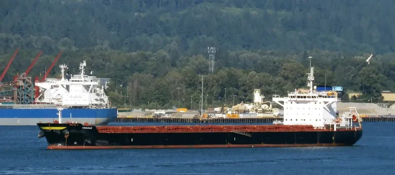 TZOUMAZ Bulk Carrier IMO 9694921