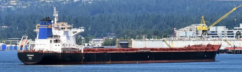 TZOUMAZ Bulk Carrier IMO 9694921 photo 2