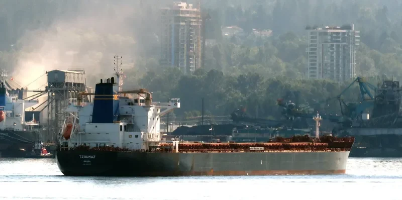 TZOUMAZ Bulk Carrier IMO 9694921 photo 3