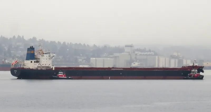 TZOUMAZ Bulk Carrier IMO 9694921 photo 7