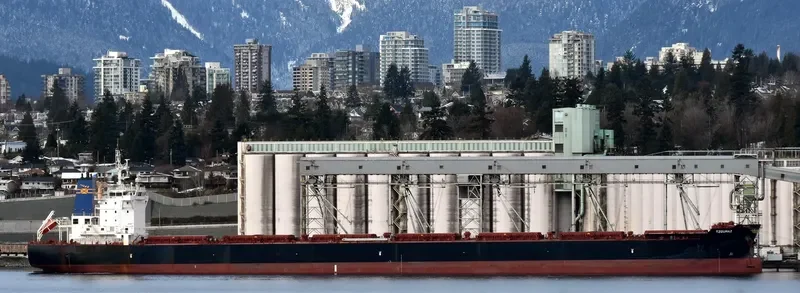 TZOUMAZ Bulk Carrier IMO 9694921 photo 8