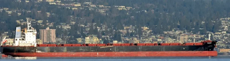 TZOUMAZ Bulk Carrier IMO 9694921 photo 10