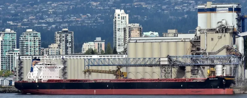 DIAVOLEZZA Bulk Carrier IMO 9694933