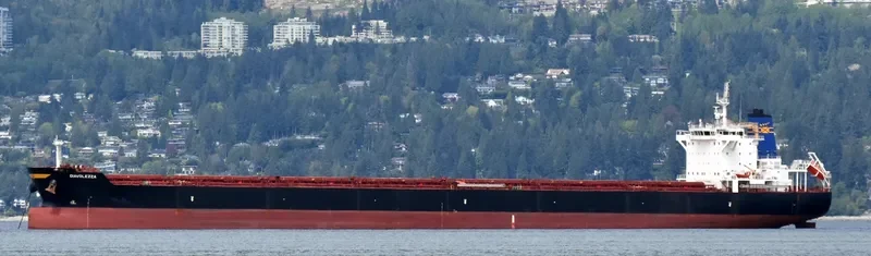 DIAVOLEZZA Bulk Carrier IMO 9694933 photo 2