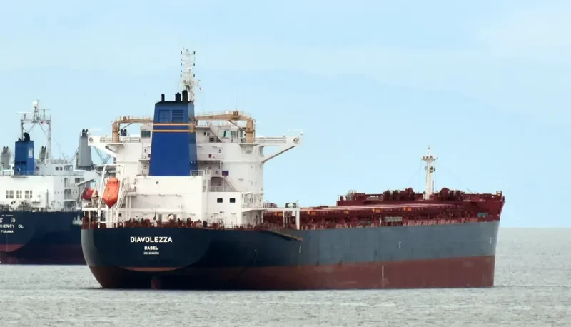 DIAVOLEZZA Bulk Carrier IMO 9694933 photo 4