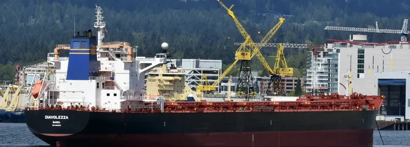 DIAVOLEZZA Bulk Carrier IMO 9694933 photo 5