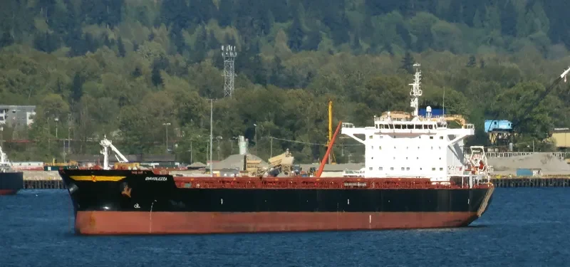 DIAVOLEZZA Bulk Carrier IMO 9694933 photo 6