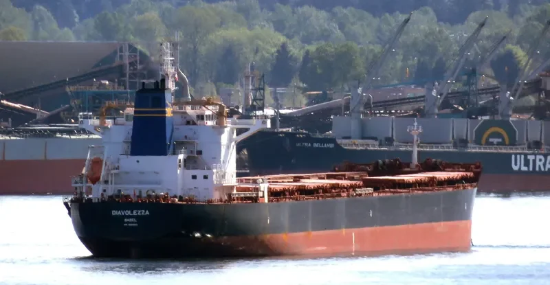DIAVOLEZZA Bulk Carrier IMO 9694933 photo 7