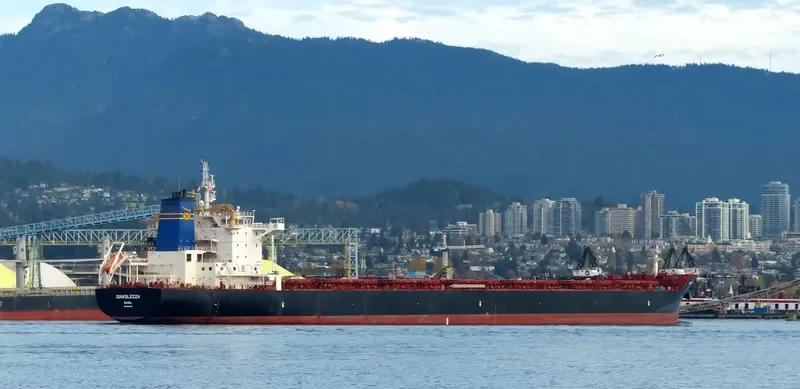 DIAVOLEZZA Bulk Carrier IMO 9694933 photo 8
