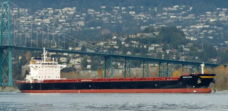 DIAVOLEZZA Bulk Carrier IMO 9694933 photo 9