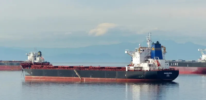 DIAVOLEZZA Bulk Carrier IMO 9694933 photo 10