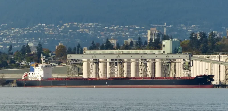 BREGAGLIA Bulk Carrier IMO 9694945