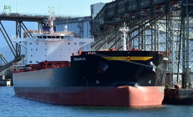BREGAGLIA Bulk Carrier IMO 9694945 photo 2