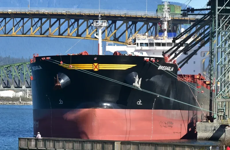 BREGAGLIA Bulk Carrier IMO 9694945 photo 3