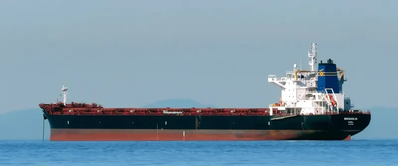 BREGAGLIA Bulk Carrier IMO 9694945 photo 4