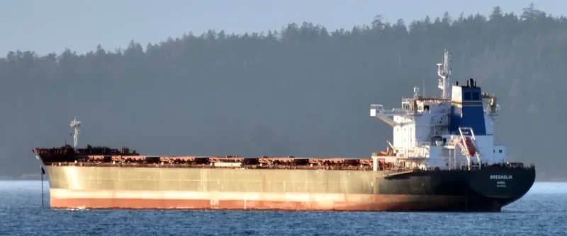 BREGAGLIA Bulk Carrier IMO 9694945 photo 5