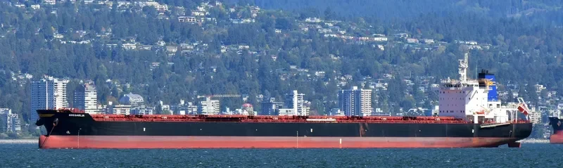 BREGAGLIA Bulk Carrier IMO 9694945 photo 6
