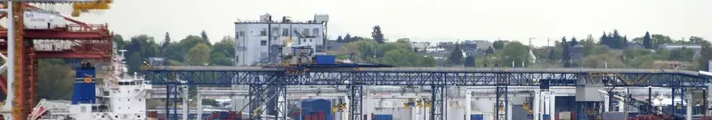BREGAGLIA Bulk Carrier IMO 9694945 photo 9