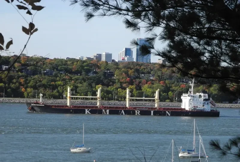 NANI K Bulk Carrier IMO 9694995