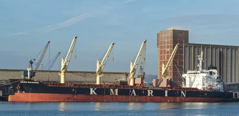 NANI K Bulk Carrier IMO 9694995 photo 2
