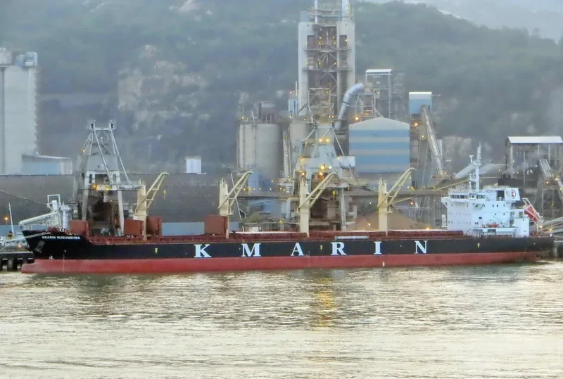 NANI K Bulk Carrier IMO 9694995 photo 4