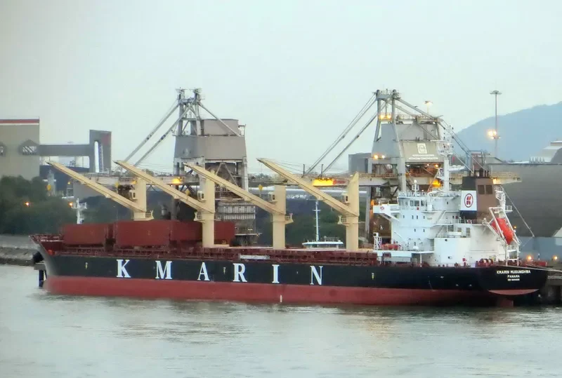 NANI K Bulk Carrier IMO 9694995 photo 6