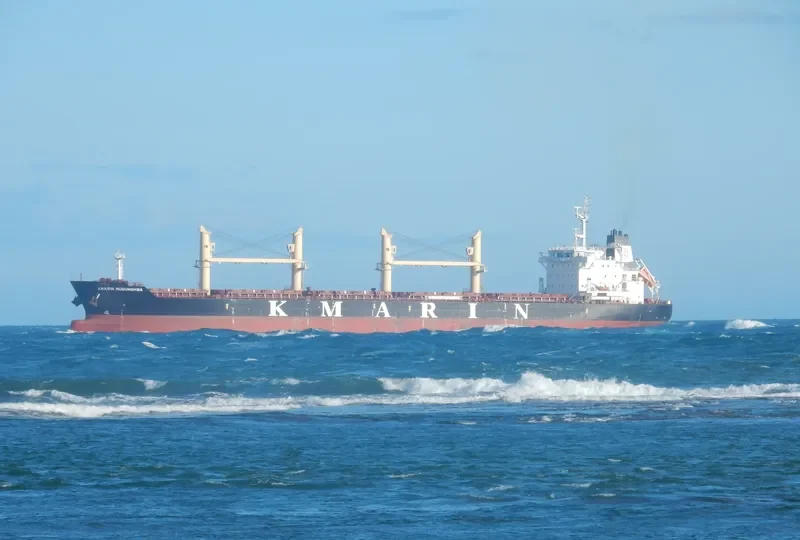 NANI K Bulk Carrier IMO 9694995 photo 7