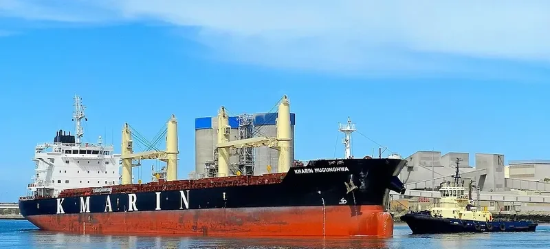 NANI K Bulk Carrier IMO 9694995 photo 8