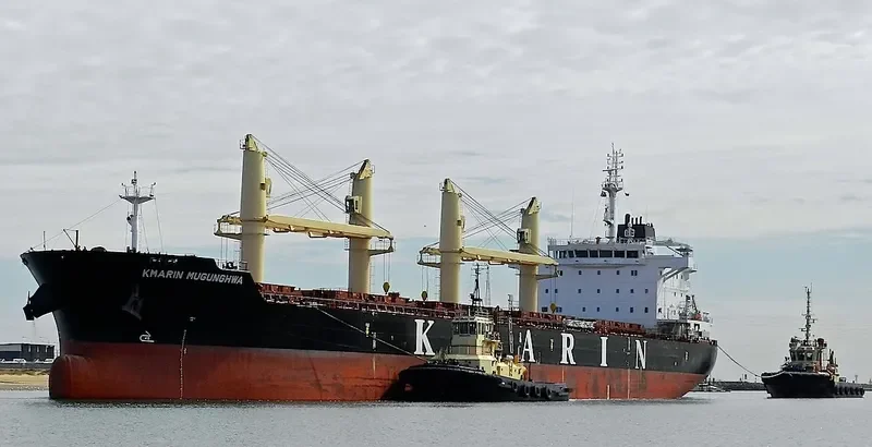 NANI K Bulk Carrier IMO 9694995 photo 9