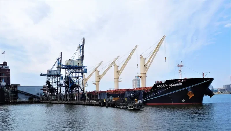 KMARIN JASMINE Bulk Carrier IMO 9695004 photo 4