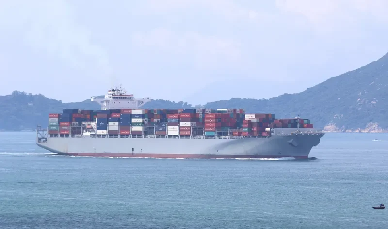 MSC ALINA Container Ship IMO 9695016
