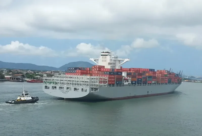 MSC ALINA Container Ship IMO 9695016 photo 2
