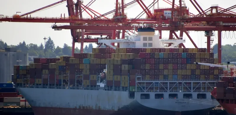 MSC ALINA Container Ship IMO 9695016 photo 3