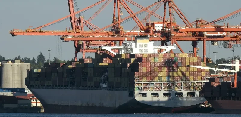 MSC ALINA Container Ship IMO 9695016 photo 4
