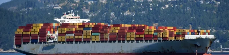 MSC ALINA Container Ship IMO 9695016 photo 7