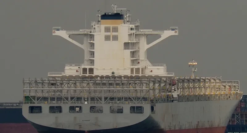 MSC ALINA Container Ship IMO 9695016 photo 8