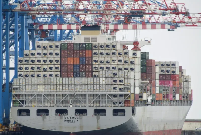 MSC ALINA Container Ship IMO 9695016 photo 10