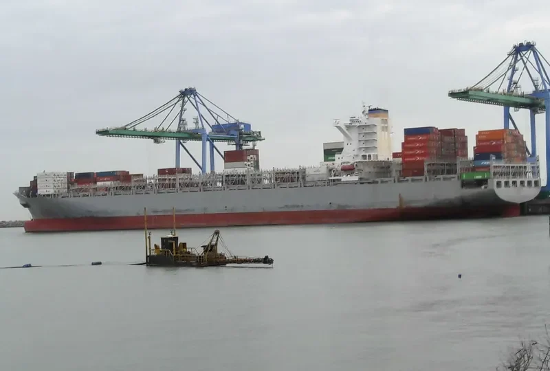 MSC SOFIA PAZ Container Ship IMO 9695028
