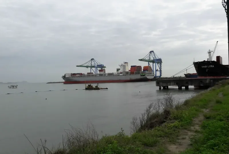 MSC SOFIA PAZ Container Ship IMO 9695028 photo 2