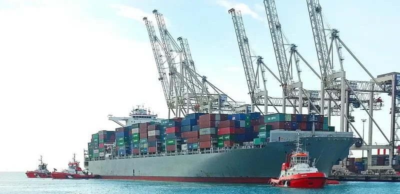 MSC SOFIA PAZ Container Ship IMO 9695028 photo 3