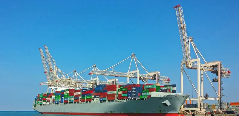 MSC SOFIA PAZ Container Ship IMO 9695028 photo 4