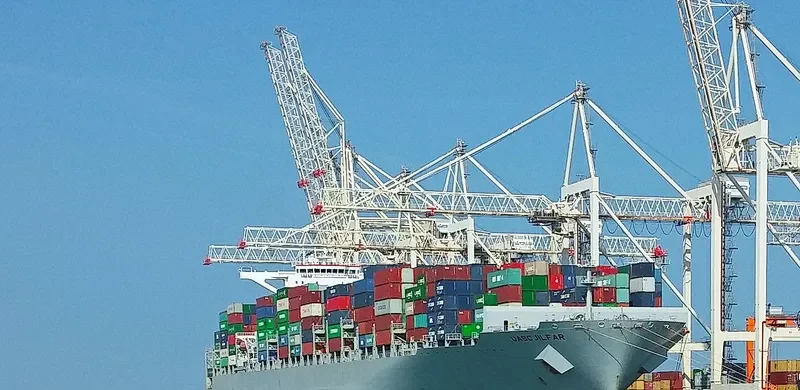 MSC SOFIA PAZ Container Ship IMO 9695028 photo 5