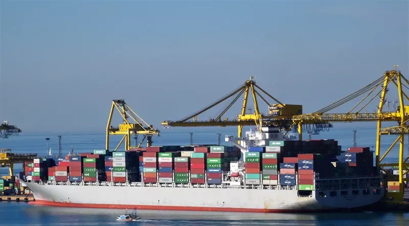 MSC SOFIA PAZ Container Ship IMO 9695028 photo 6