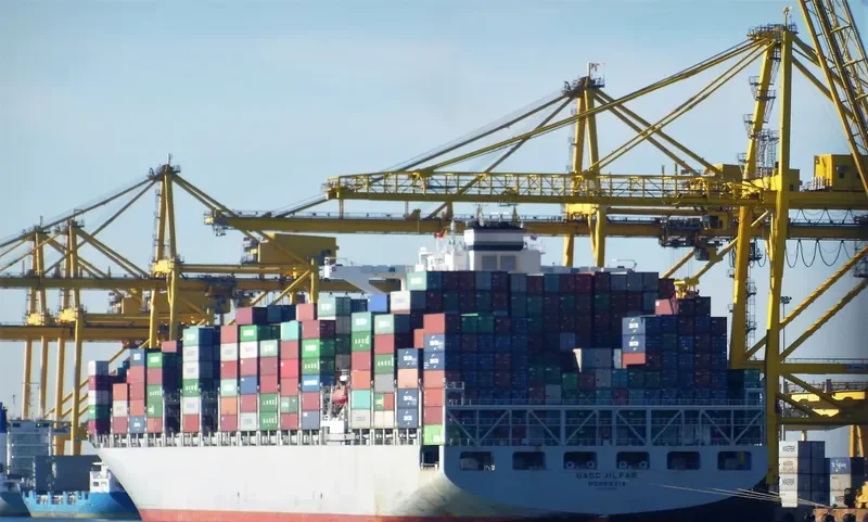 MSC SOFIA PAZ Container Ship IMO 9695028 photo 7
