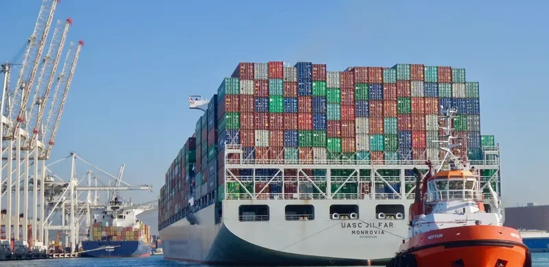 MSC SOFIA PAZ Container Ship IMO 9695028 photo 9