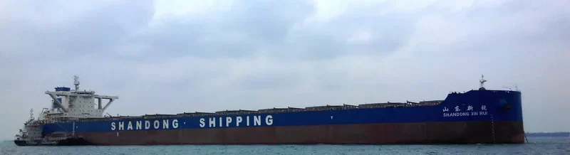 SHANDONG XIN RUI Bulk Carrier IMO 9695092 photo 2