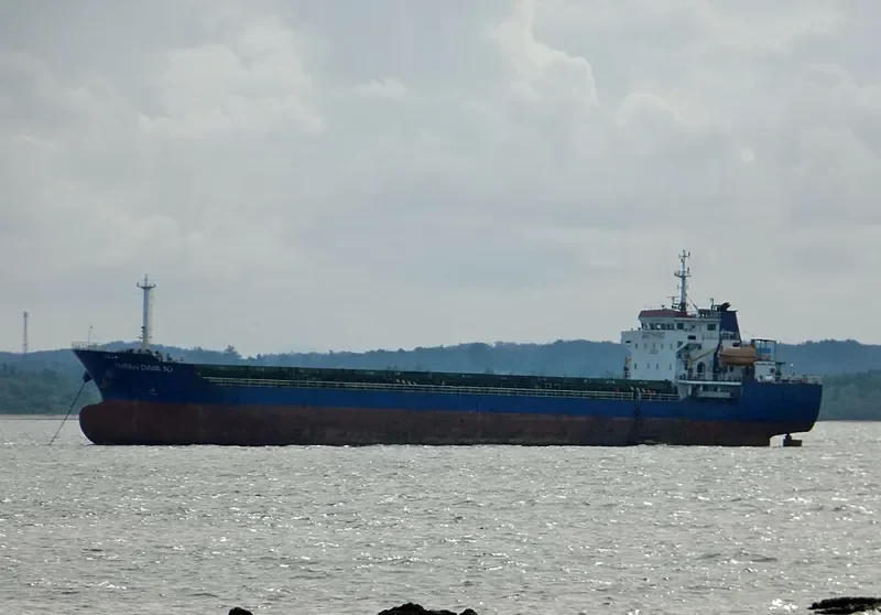INTAN DAYA 10 General Cargo IMO 9695183 photo 6