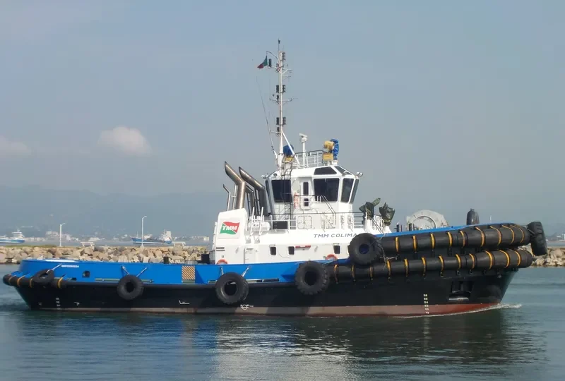 RPM COLIMA General Cargo IMO 9695561