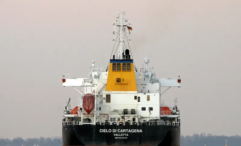 ARCADIA Bulk Carrier IMO 9695640